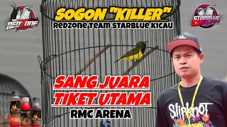 aksi sogon killer redzone squad starblue kicau 
