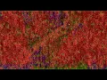 How To Make INFINITE Fire POWDER GAME 2 - DAN Ball