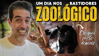 ALIMENTEI UMA ONÇA PRETA DE 50kg!