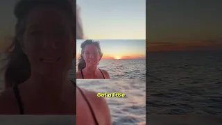 A Stowaway at Sunset! #shorts