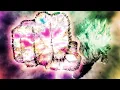 Deku vs Shigaraki MHA x Still Here