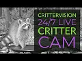 CritterVision Wildlife Critter Cam