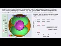 Boron Orbitals Concord Consortium Atomic Structure