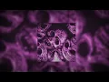 Nateki,SLOWYMANE - Cruel // SLOWED DOWN + REVERB