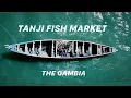 Download Lagu TANJI FISH MARKET: A WHETSTONE DISPATCH FROM THE GAMBIA