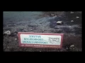 Seattle Meowpolis and a bay visit at low tide