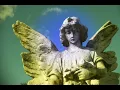 Desiderii Marginis - Silent Messenger
