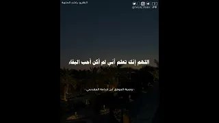 قصة معاذ ابن جبل عند الموت   راشد الحليبة دندنها