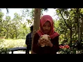 Download Lagu Mencoba untuk setia