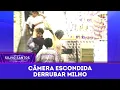 Derrubar Milho | Câmeras Escondidas (26/11/25)