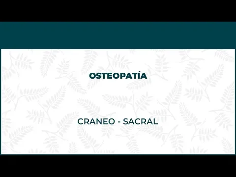 Osteopatía Craneo Sacral - FisioClinics Bilbao, Bilbo
