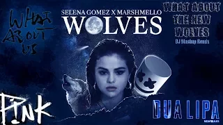 Download What About The New Wolves (DJ Mashup Megamix) | Selena Gomez, Dua Lipa, P!nk, and Marshmello MP3