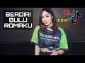 Dj Dangdut Berdiri Bulu Romaku, Full Bass Asyik Banget, MAntull