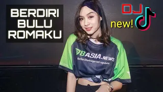 Download Dj Dangdut Berdiri Bulu Romaku, Full Bass Asyik Banget, MAntull MP3