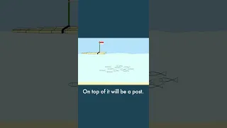 OMG! They can SINK YOUR BOAT! #sailing #shorts #hazards