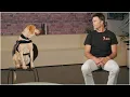 The Manningcast auditions go OFF THE RAILS Tom Brady Stephen A MORE