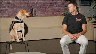 The Manningcast auditions go OFF THE RAILS Tom Brady Stephen A MORE