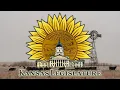 Kansas Fights Addiction Grant Review Board 2026