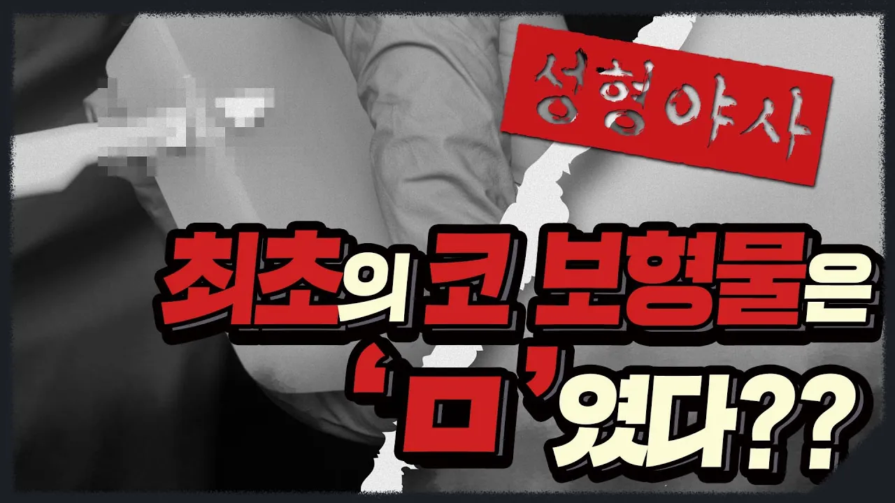 코 실리콘 보형물 처음엔 수술할 때 직접 깎았다? 코성형 최초 보형물은 실리콘 블록⬜ | 성형야사