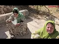 Naz and Zeinab's hard work to survive and become the owner of the garden and...😱