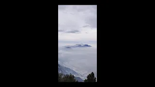                     دندنها