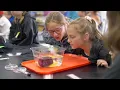 Learn about tide pools in this Oregon Sea Grant class for kids
