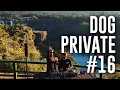 Download Lagu Dubdogz - DOGPRIVATE #16 (Cataratas do Iguaçu, Foz do Iguaçu - PR) Insomniac Residency