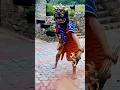 Lagu Bhutanese traditional mask dance/cham