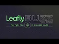 Leafly Buzz Vol 02 October 2020 Edition