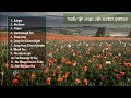 Download Lagu Hành trình cuộc sống ||Tuyển tập những bài hát hay nhất của Secret Garden || Best of Secret Garden