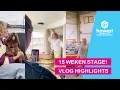 Download Lagu Onze Tweedejaars 15 Weken op Stage (2025) - Vlog Highlights