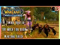WoW WotLK Classic PvP Hunter might be my Fav 19 Twink Marksman Hunter Level 19 Twink PvP - SPP