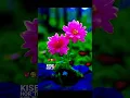 Download Lagu Khaab song 🎶🎶 #song #punjabisong #punjabimusic #love #newsong #khaab #akhilkhaab