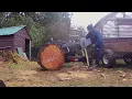 27 Ton Performance Built Log Splitter with Home made Log Lift