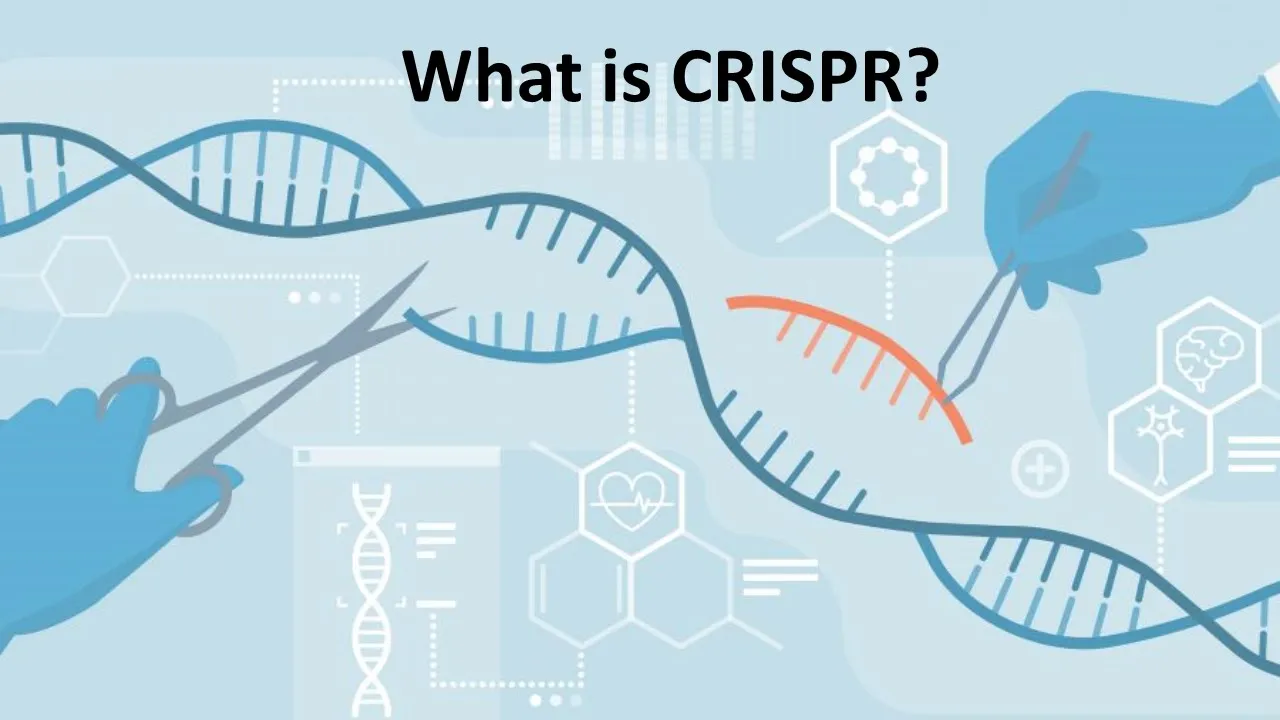 CRISPR Cas9 Explained