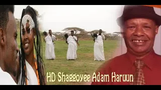 New Aadam Haruun Shaggoye 2020 HD 