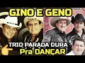 Download Lagu TRIO PARADA DURA GINO E GENO SUPER SUCESSOS E AS MELHORES DO BAILÃO 02 FORRÓ