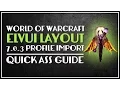 ElvUI Layout 7 0 3 Profile Import