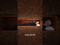 Download Lagu Special coffin to ensure that no one is buried alive!” || #shorts