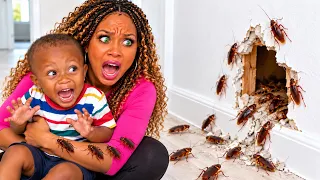 We have A Roach Infestation In Out New House 