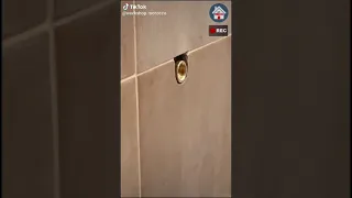 Https Www Facebook Com Pg D8 AF D9 8A D9 83 D9 88 D8 B1 D8 A7 D8 AA D9 85 D9 86 D8 A7 D8 B2 D9 8 