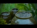 Download Lagu Soothing rain sounds in hitting clay jars with distant thunder. Great for relaxing and deep sleep.
