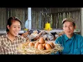 Download Lagu Life Single: The Hen Laid Eggs – The First Harvest of Huyen, De, and Maya’s Farm