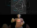 Unreal Engine Blueprints In A Nutshell