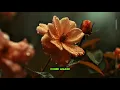 Timeless Oldies Love Songs ❤️ 70s 80s 90s | Golden Memories of Love