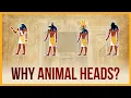 Why do EGYPTIAN GODS have ANIMAL HEADS