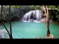 Download Lagu Suara Alam Hutan Pengantar Tidur