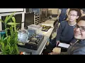 Information Technology program