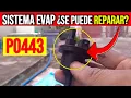 This is how you will repair the evaporation system EVAP p0443