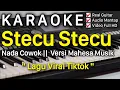 Lagu Stecu Stecu Karaoke Nada Cowok